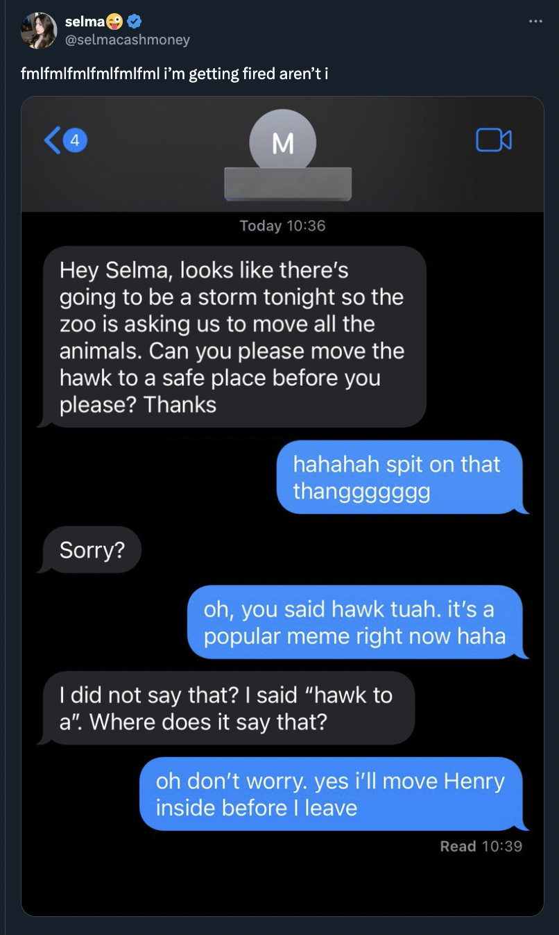 screenshot - selma fmifmifmifmifmifml I'm getting fired aren't i M Today Hey Selma, looks there's going to be a storm tonight so the zoo is asking us to move all the animals. Can you please move the hawk to a safe place before you please? Thanks Sorry? ha